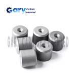 волочильный волоки из карбида вольфрама